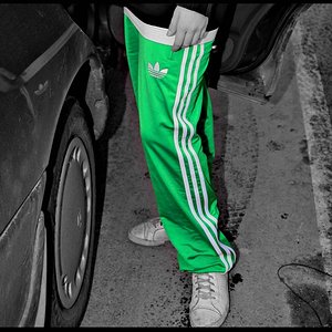 Adidas womens shiny green pants