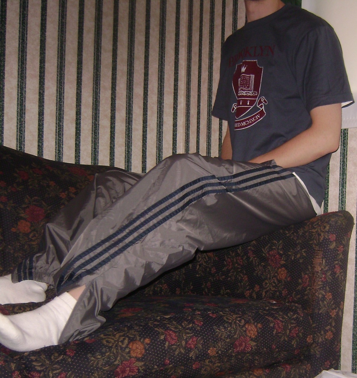 Gray Adidas Nylon Pants with Navy Stripes 2