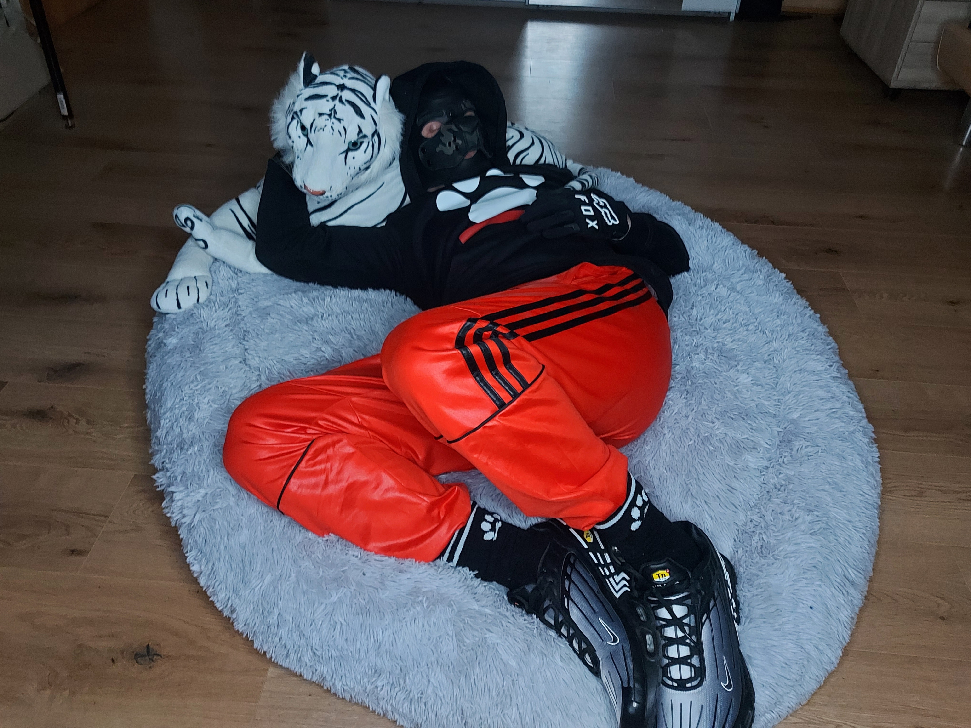 Shiny and Comfy 🥰🐺🐶